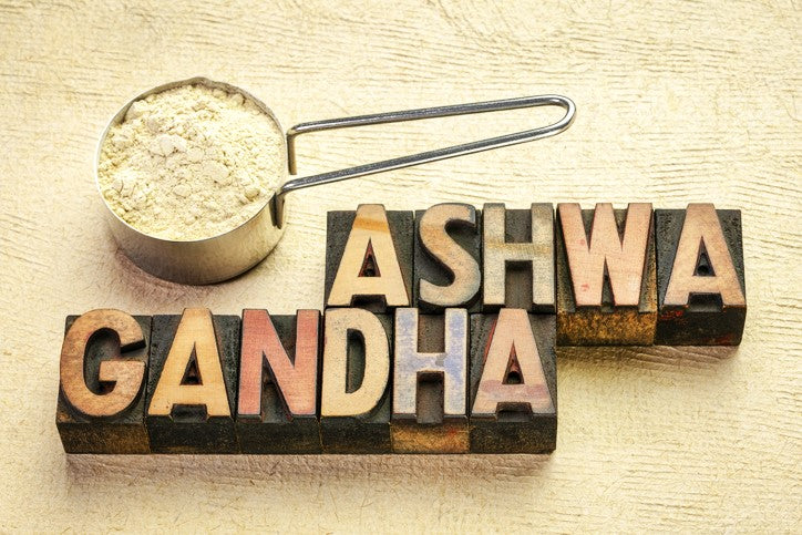 Ashwagandha - Anwendung, Wirkung, Adaptogen