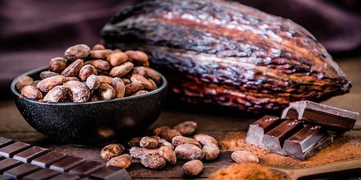 Rohkakao, Kakaobohnen und dunkle Schokolade als Inspiration für Rohkakao Rezepte