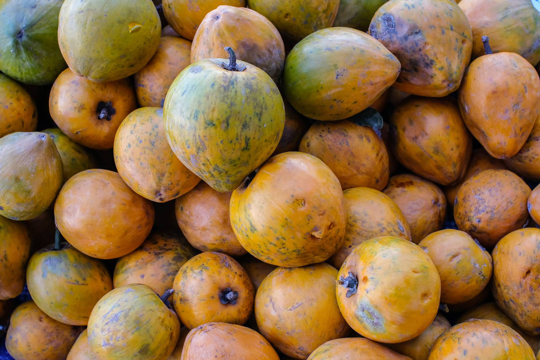 Lucuma Früchte